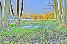 _DSC0034
