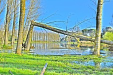 _DSC0107